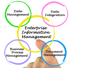 Image result for Enterprise Information Management (EIM)